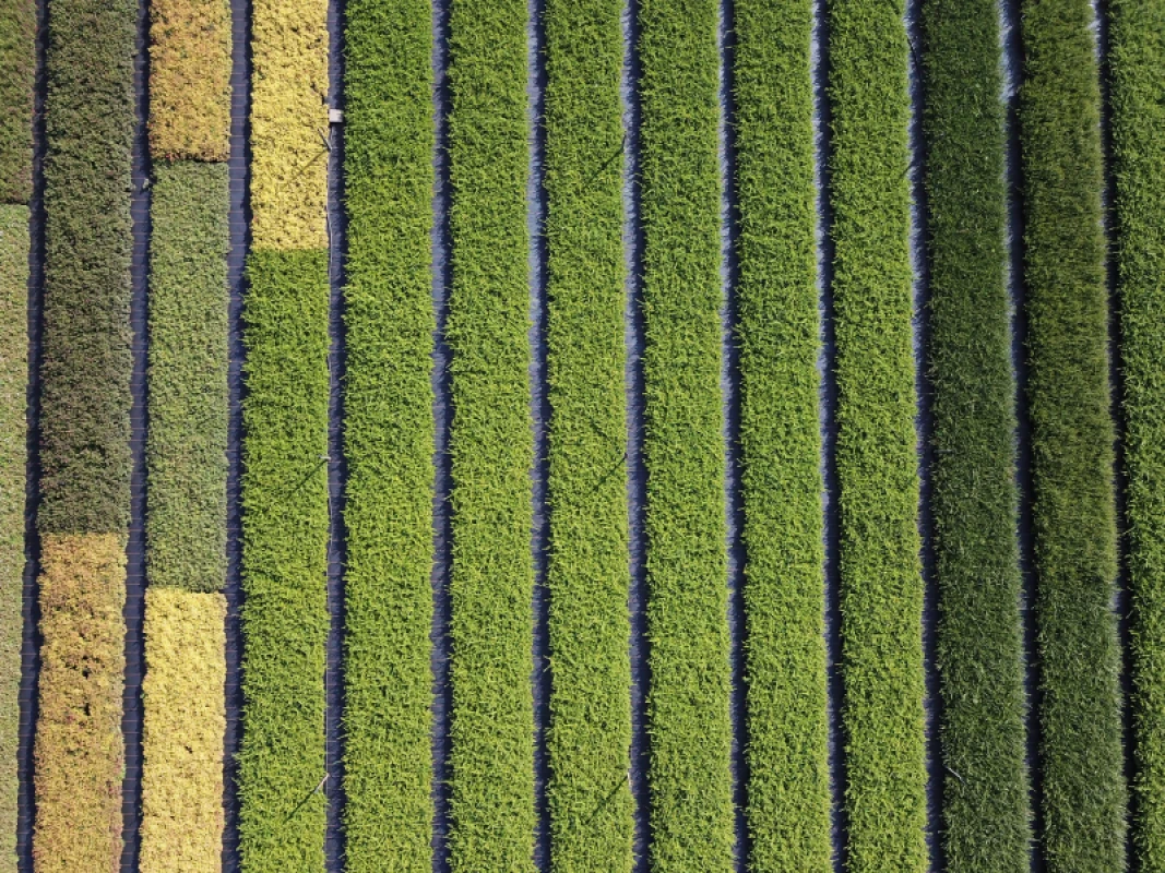 Wöchentliche Liefertouren