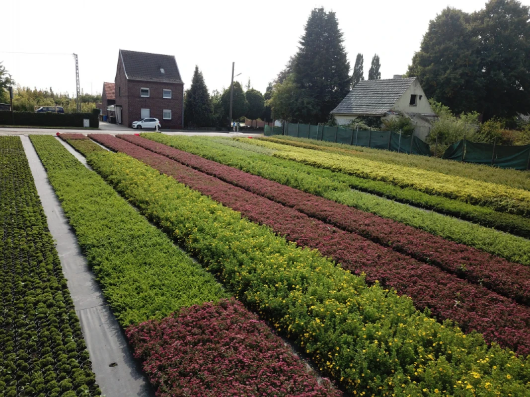 Sortiment für Profis