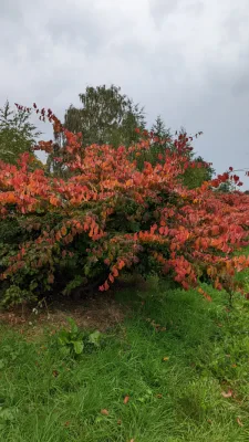 PXL_20221013_133930600