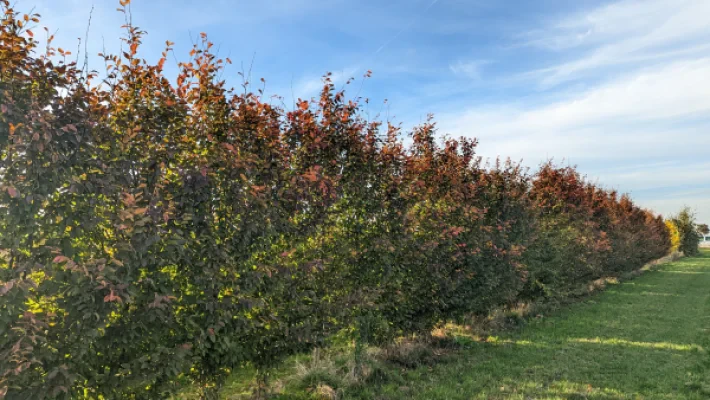 PXL_20221019_151421816