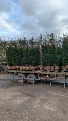 PXL_20221109_134418273