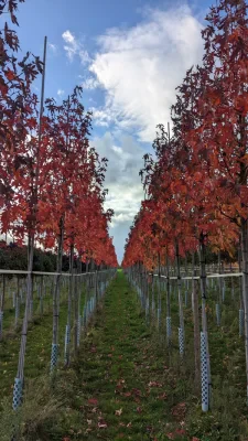 PXL_20221024_142329035