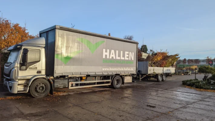 PXL_20221126_081348676